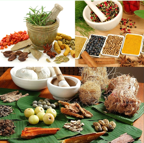 Mind, Body & Soul | 615 Linden Ave, Kaleden, BC V0H 1K0, Canada | Phone: (250) 486-1692