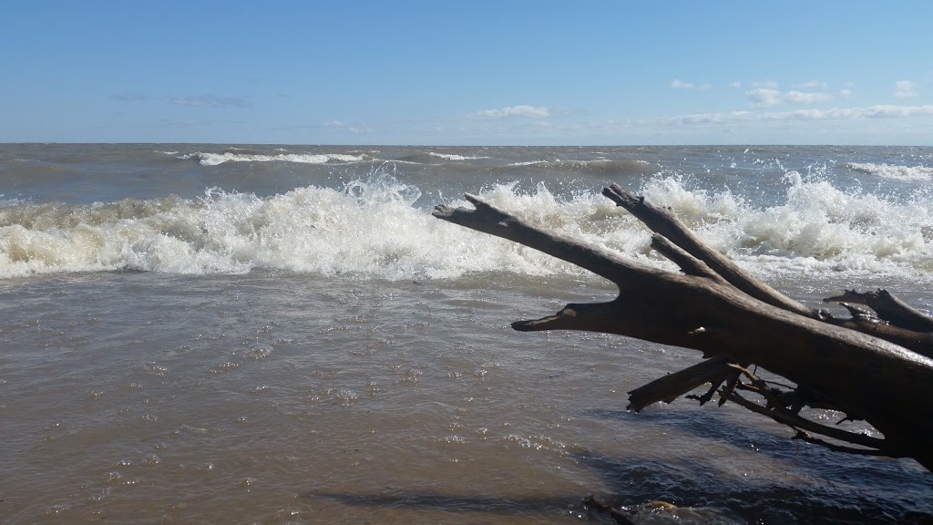 Winnipeg Beach Provincial Park Campground | 3 Hamilton Ave, Winnipeg Beach, MB R0C 3G0, Canada | Phone: (204) 389-2752