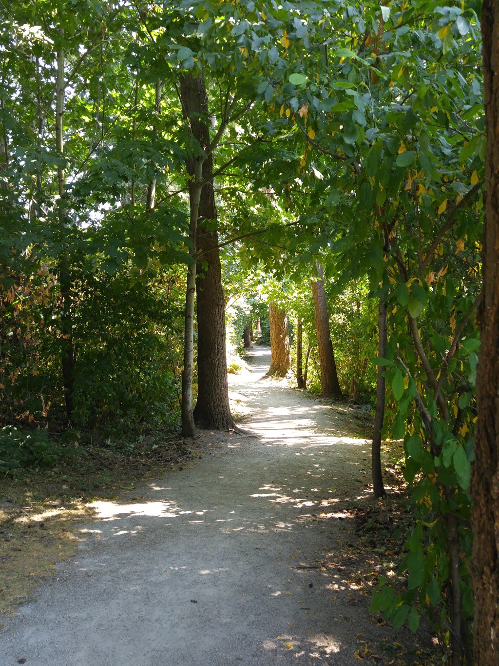 Springwood Forest Park | 5844 150 St, Surrey, BC V3S 5N5, Canada