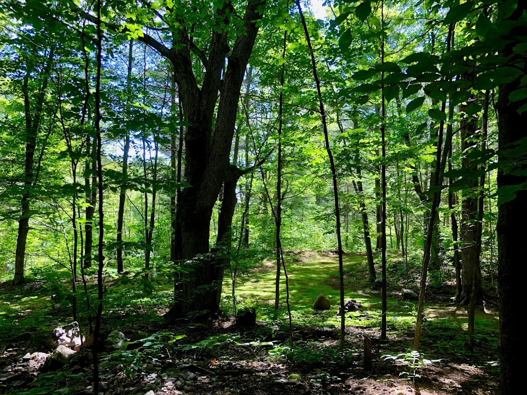 Black River Retreat | 107939a Hwy#7, Tweed, ON K0K 3J0, Canada | Phone: (613) 243-7711