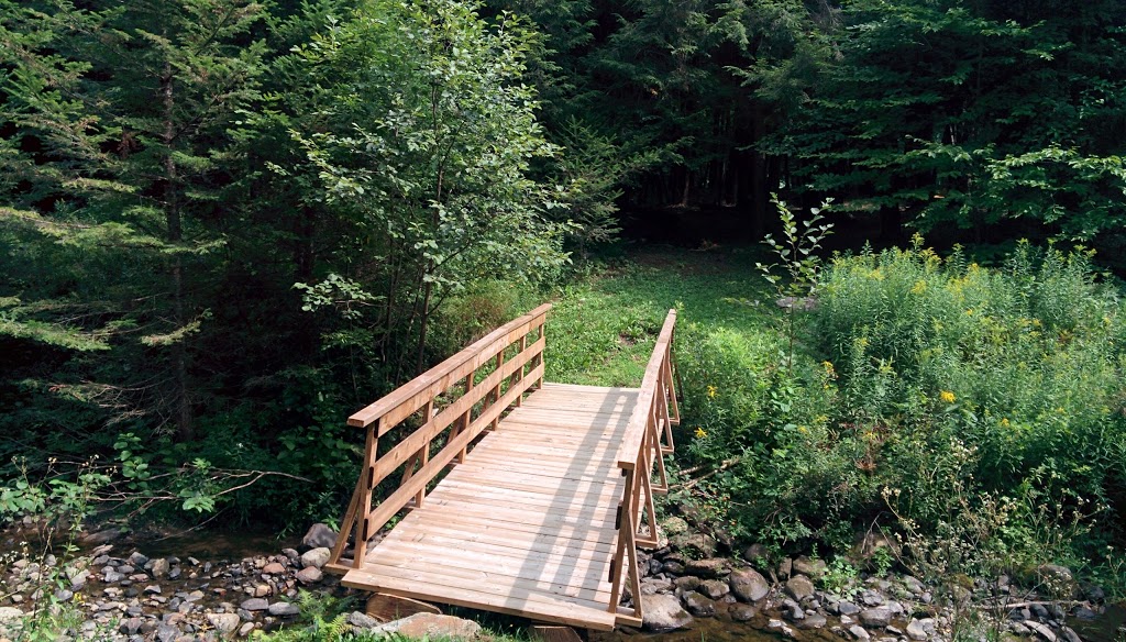 Blueberry Hill | 2259 Chemin Beattie, Dunham, QC J0E 1M0, Canada | Phone: (450) 295-2417