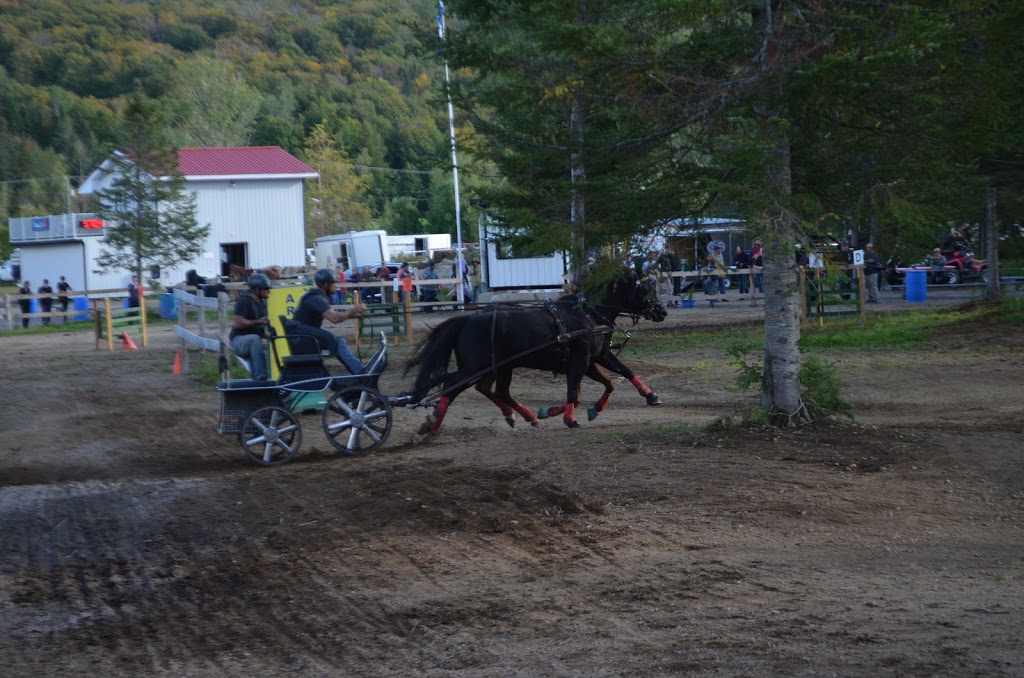 Attelage Performance Quebec | 2161 Chemin de Bélair, Québec, QC G3J 0A6, Canada | Phone: (418) 803-4220