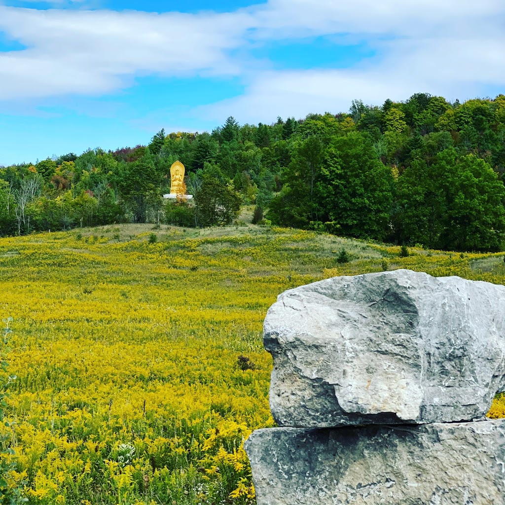 Wutai Shan 五台山 | 708 Ski Hill Rd, Bethany, ON L0A 1A0, Canada | Phone: (905) 886-1522