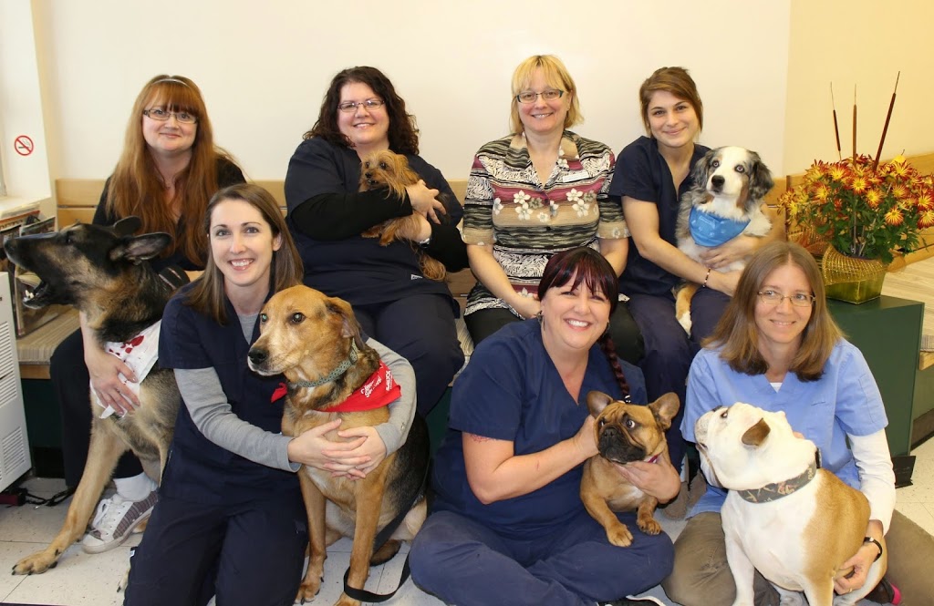 Thickson Road Pet Hospital | 1650 Victoria St E, Whitby, ON L1N 9L4, Canada | Phone: (905) 434-2885