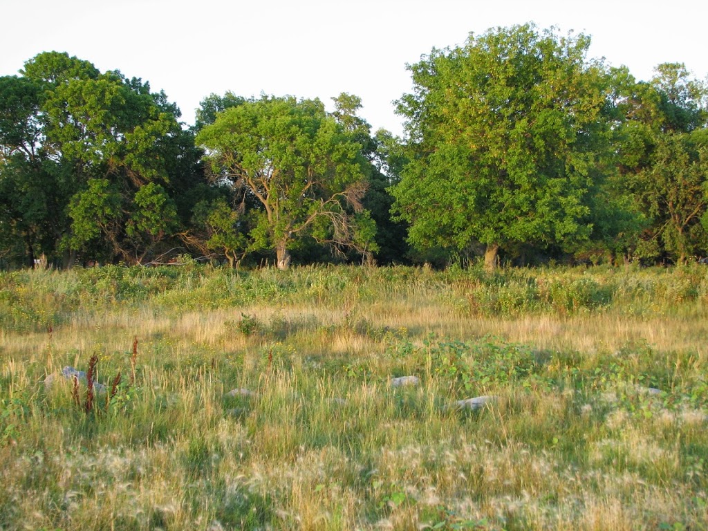 Hawthorn Beach | Lot 1 Hawthorn Beach Drive, Lundar, MB R0C 1Y0, Canada | Phone: (204) 475-9130