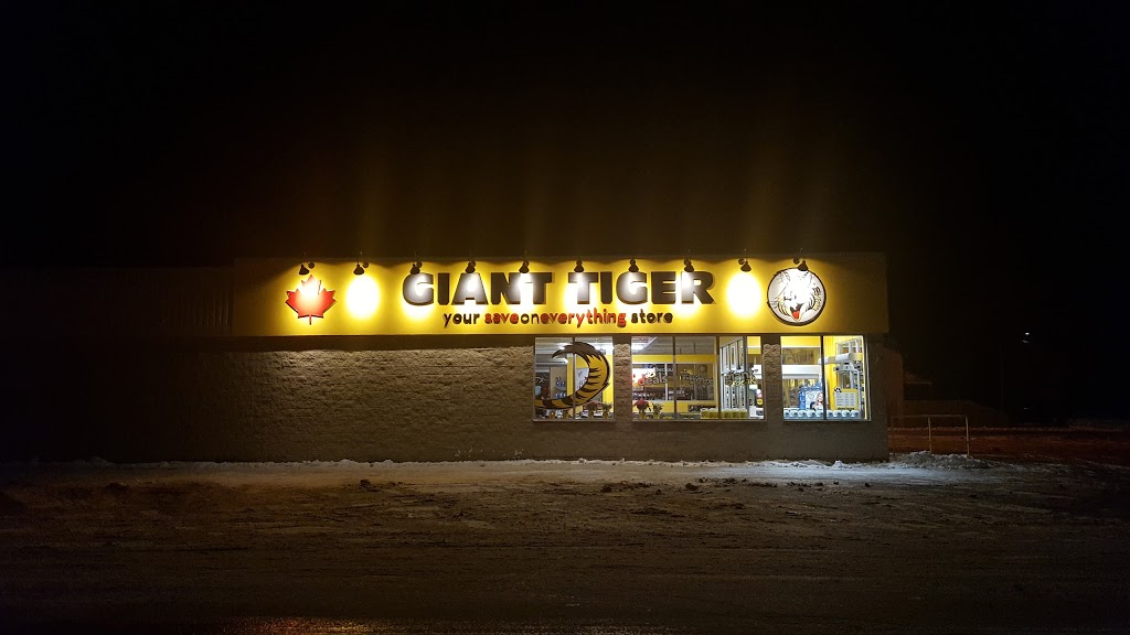 Giant Tiger | 82 South St, Goderich, ON N7A 3L6, Canada | Phone: (519) 524-1437
