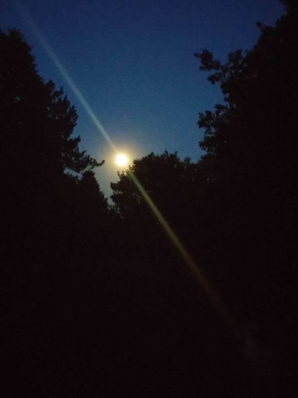 Meadowbrook Campground | 5348 Concession Rd 6, Alliston, ON L9R 1V3, Canada | Phone: (705) 435-4578