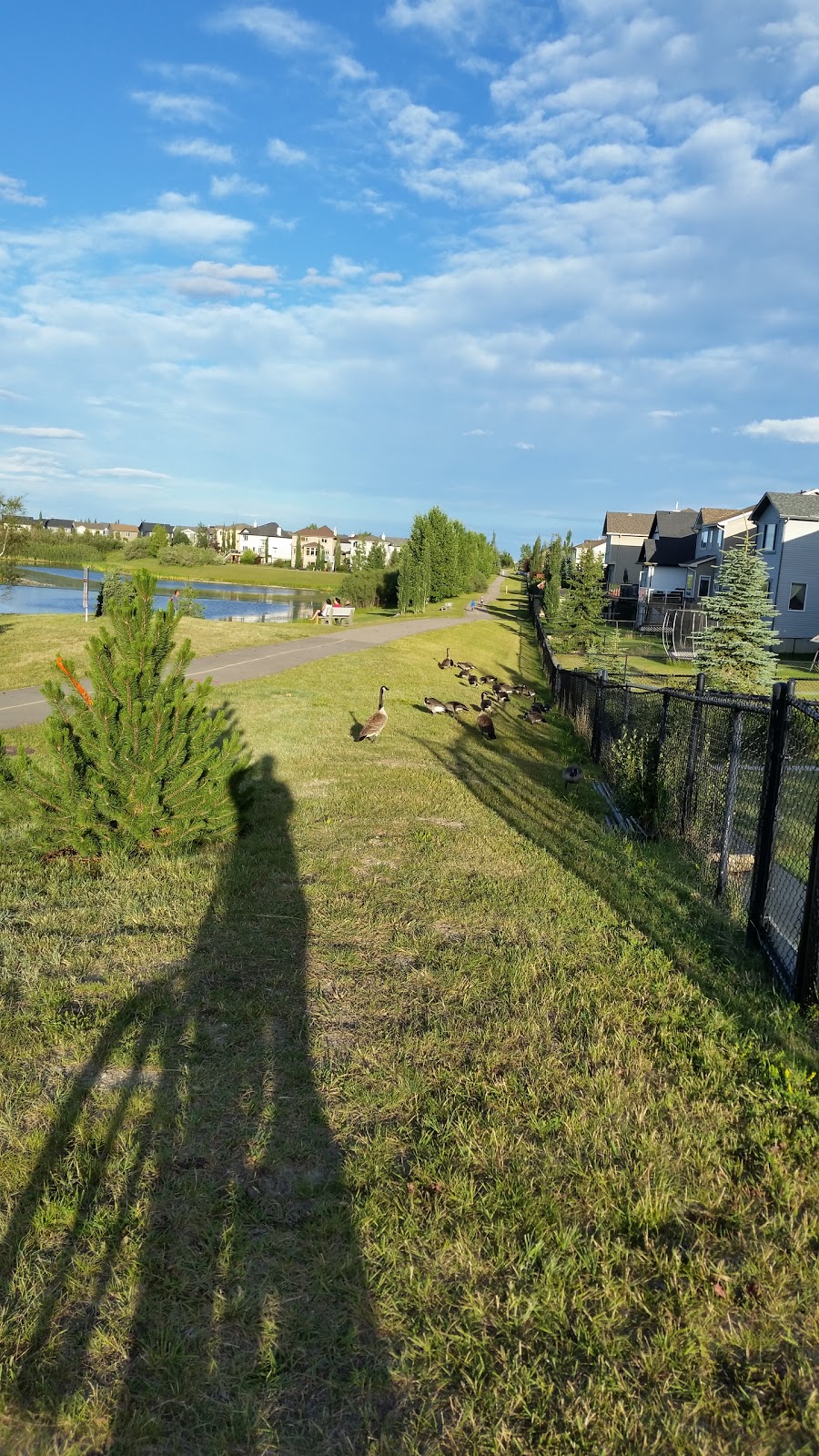 Cougarstone Park | Cougarstone Way SW, Calgary, AB T3H 4Z9, Canada