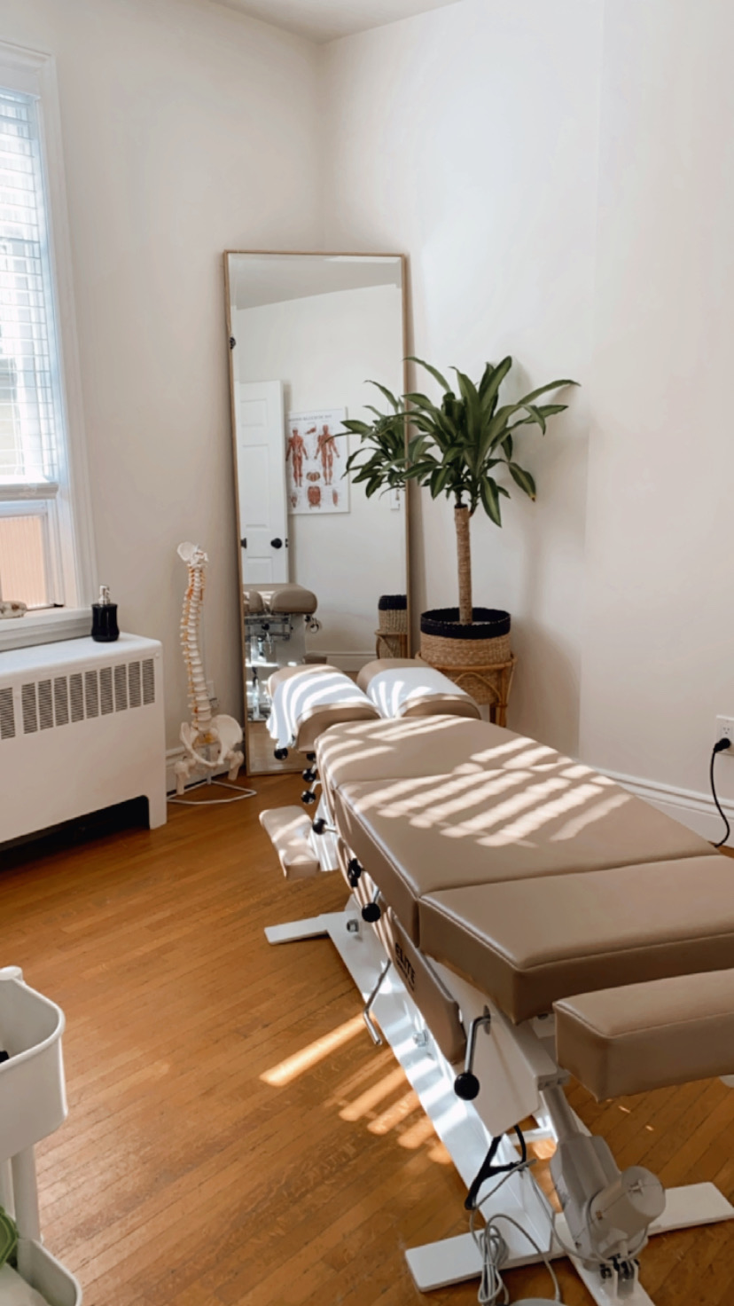 Dr. Emily Baas - Registered Chiropractor | 230 King St, Thorndale, ON N0M 2P0, Canada | Phone: (548) 388-3296