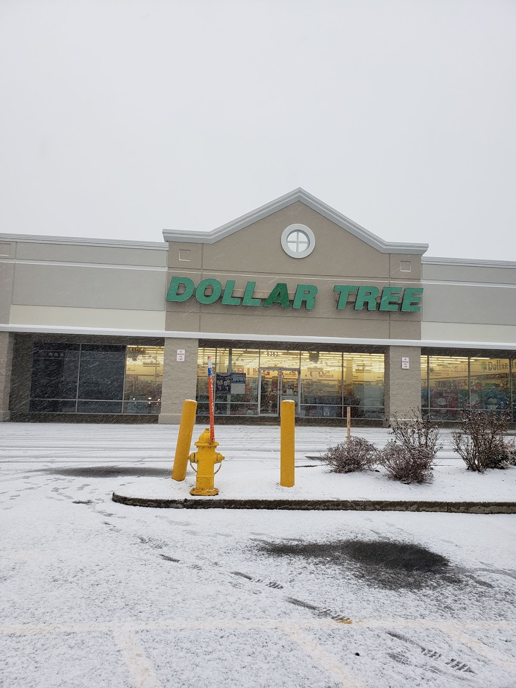 Dollar Tree | 6363 Transit Rd #2, Depew, NY 14043, USA | Phone: (716) 706-2907