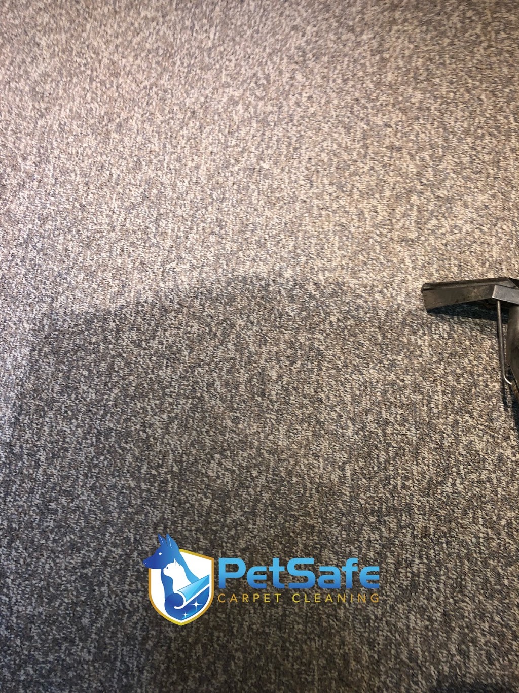 Petsafe Carpet Cleaning | 8560 162 St #5, Surrey, BC V4N 1B4, Canada | Phone: (778) 798-7233
