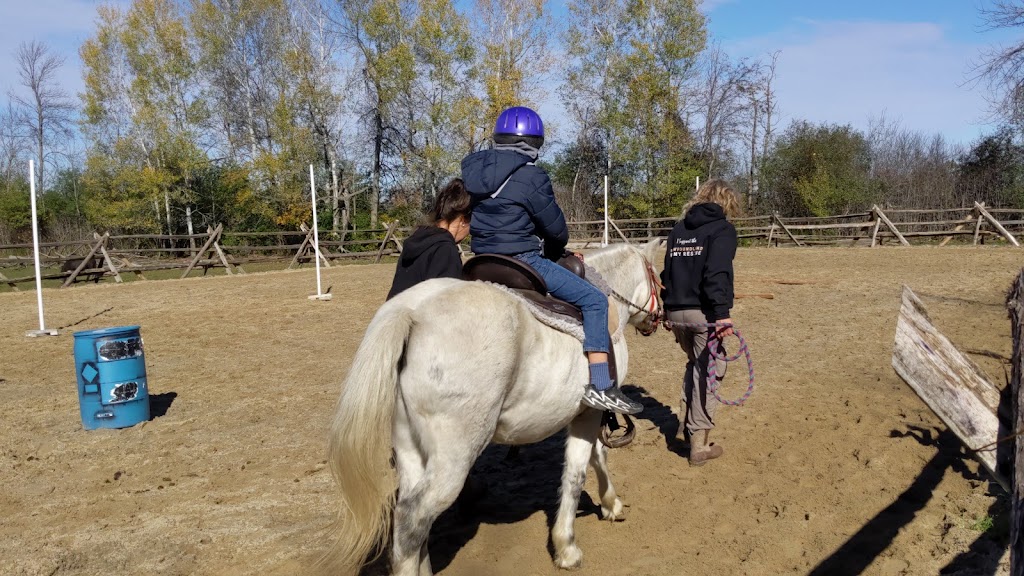 Willow Creek Stables | 2351 Christie Lake Rd, Perth, ON K7H 3C6, Canada | Phone: (613) 464-1571