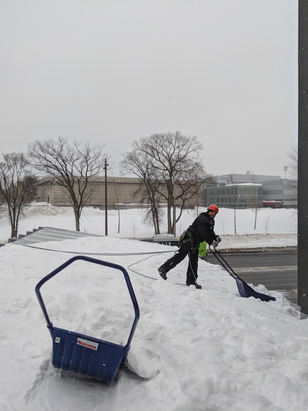 Arboriculture Thibault Inc. | 2994 Rte de lAéroport, Québec, QC G3K 1B3, Canada | Phone: (418) 657-0862