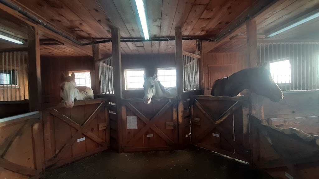 Bogtown Farm | 151 Rang Bogton, Saint-Bernard-de-Lacolle, QC J0J 1V0, Canada | Phone: (514) 774-1415
