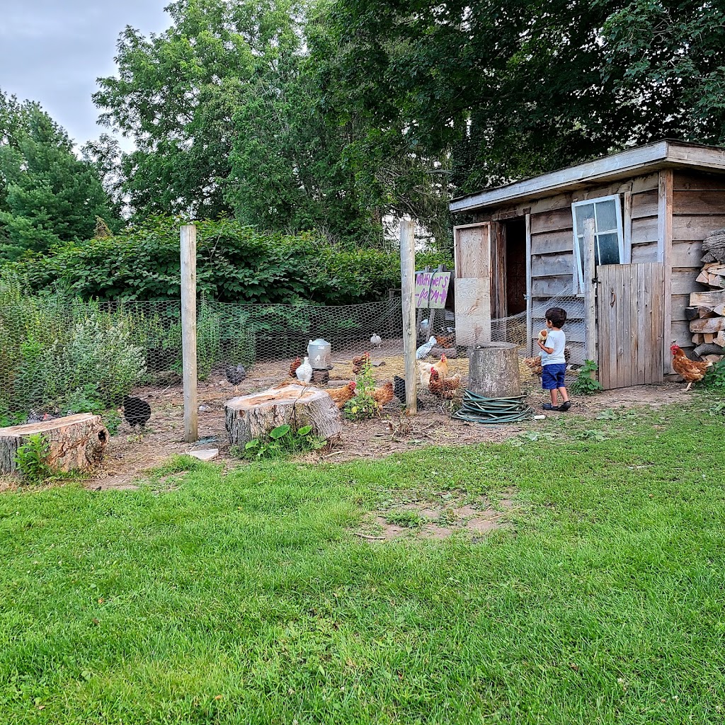 Wildflowers Farm | 42338 Fruit Ridge Line, St Thomas, ON N5P 3S9, Canada | Phone: (226) 926-6432