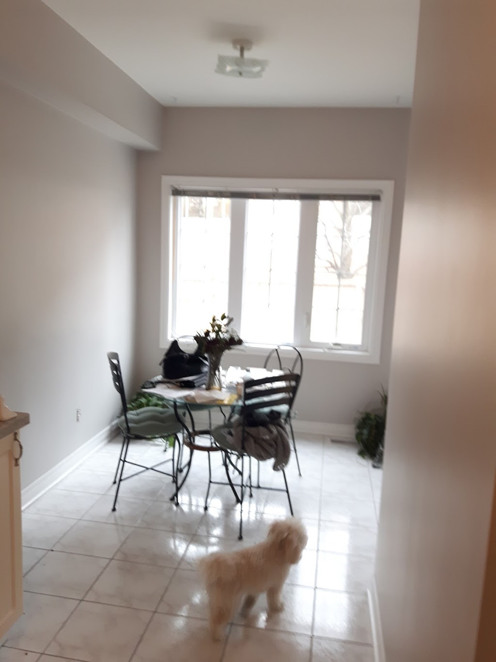 ALL-IN-1-PAINTING | 35 Ed Quigg Way, Woodbridge, ON L4H 2S1, Canada | Phone: (416) 697-8185