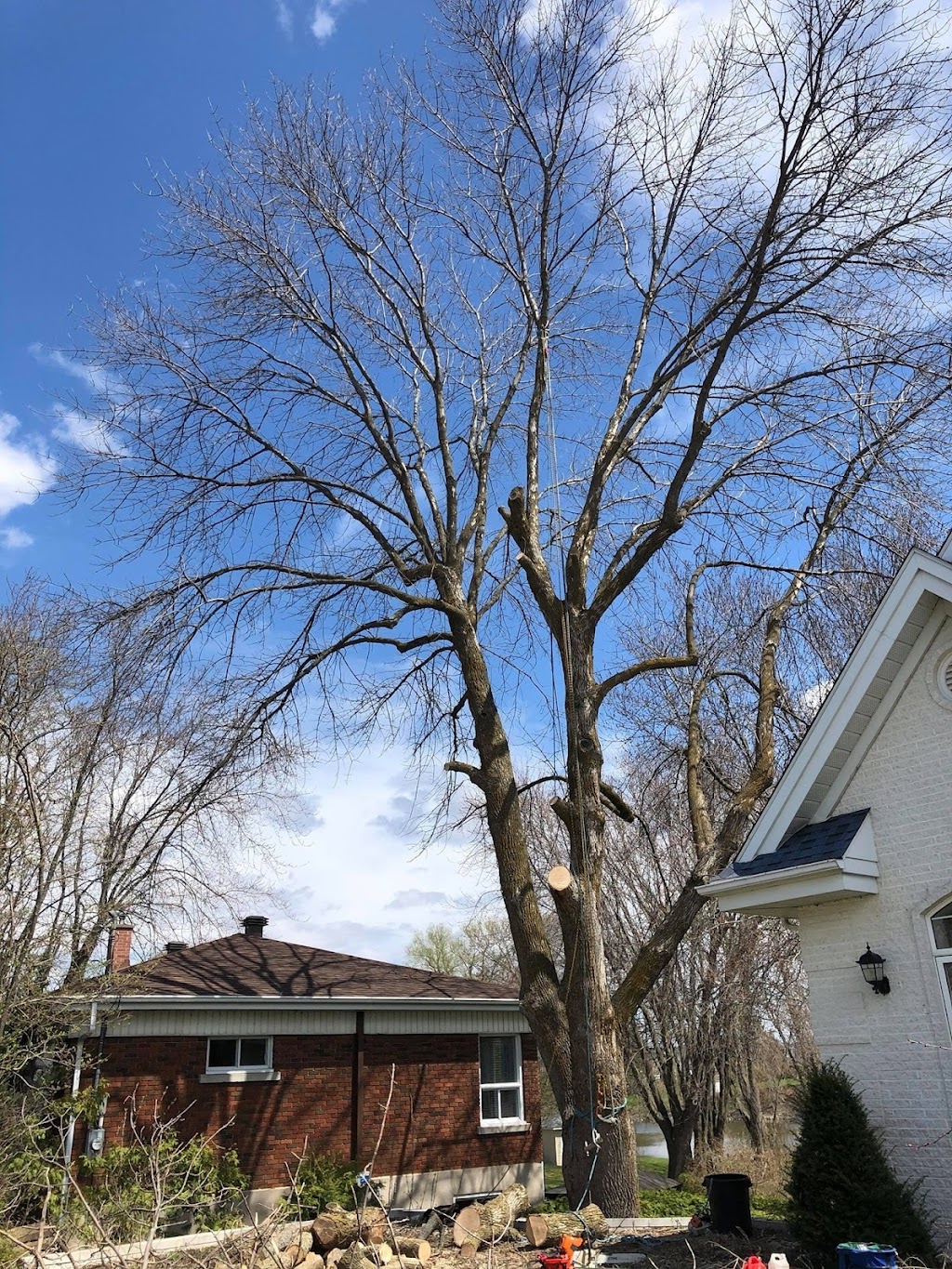 Samuel Girouard Arboriculteur-élagueur | 16325 Av. Roy, Saint-Hyacinthe, QC J2T 4G6, Canada | Phone: (450) 501-8205