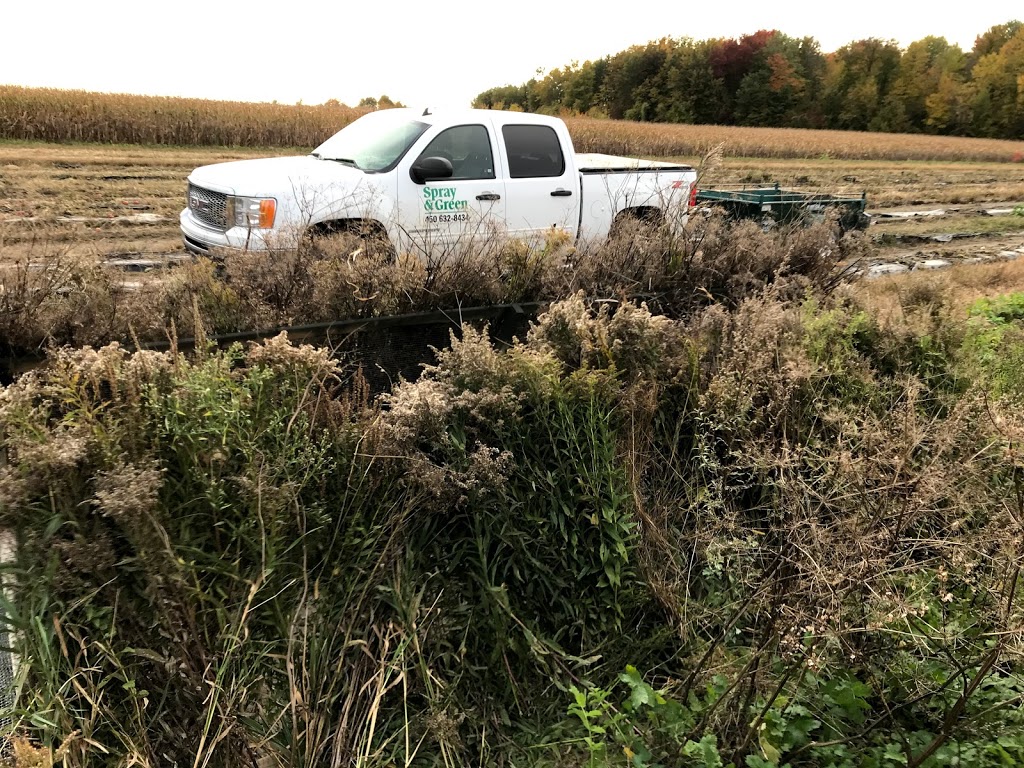 Spray Green - Traitement de pelouse et extermination | 111 Rue Industrielle, Delson, QC J5B 1V9, Canada | Phone: (450) 845-3434