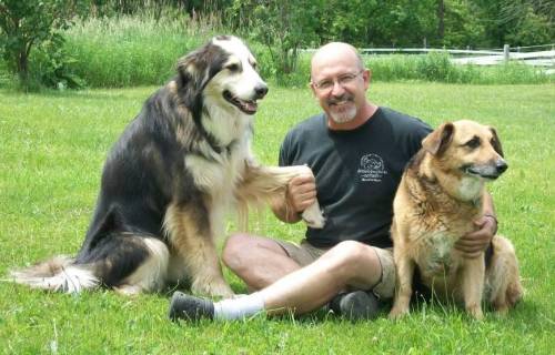 Kennel Land | 12527 Fifth Line Nass, Rockwood, ON N0B 2K0, Canada | Phone: (519) 853-9680