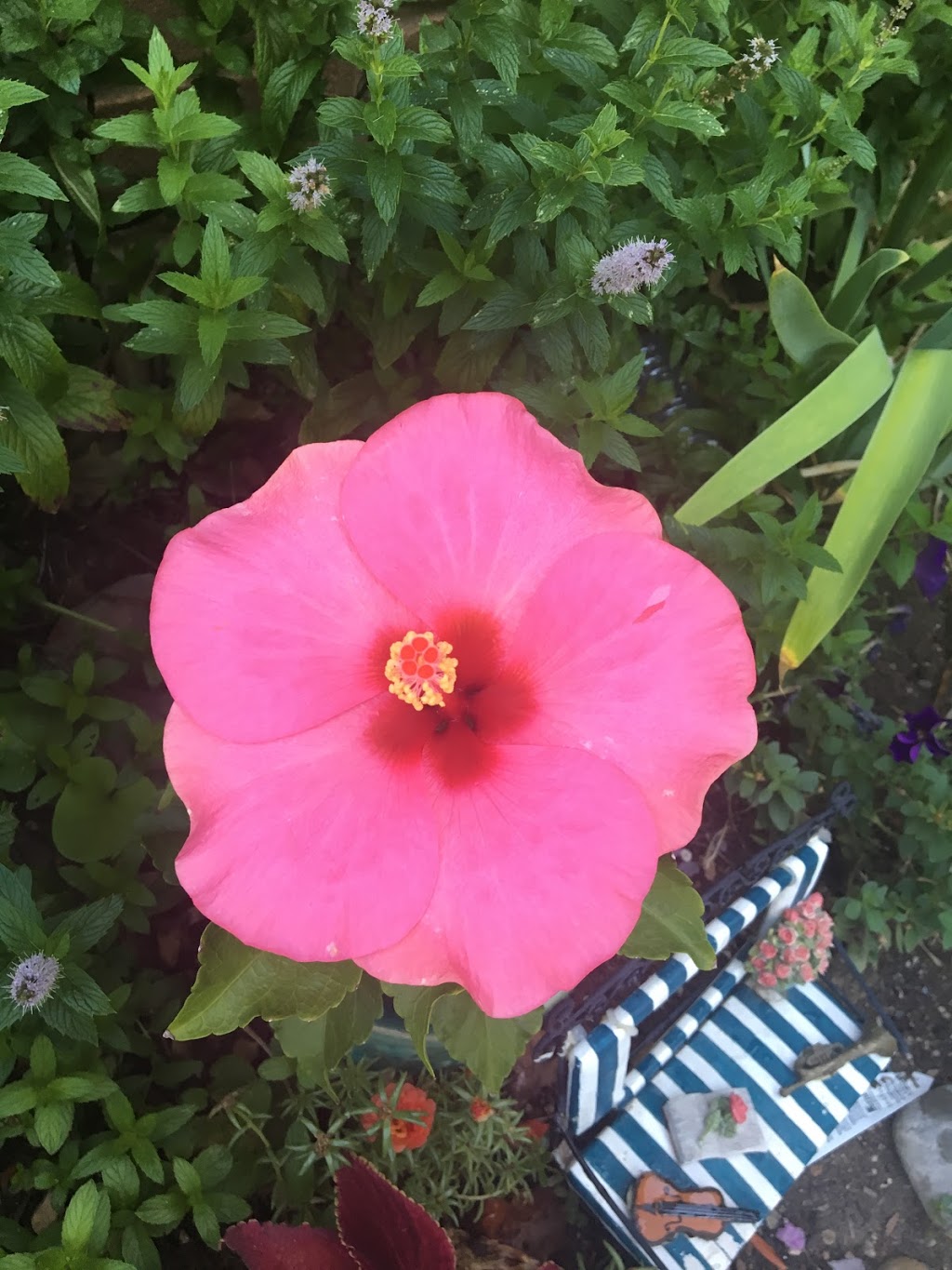 St. John Paul II Catholic Elementary School | 2130 Kingsridge Dr, Oakville, ON L6M 4Z2, Canada | Phone: (905) 827-8894