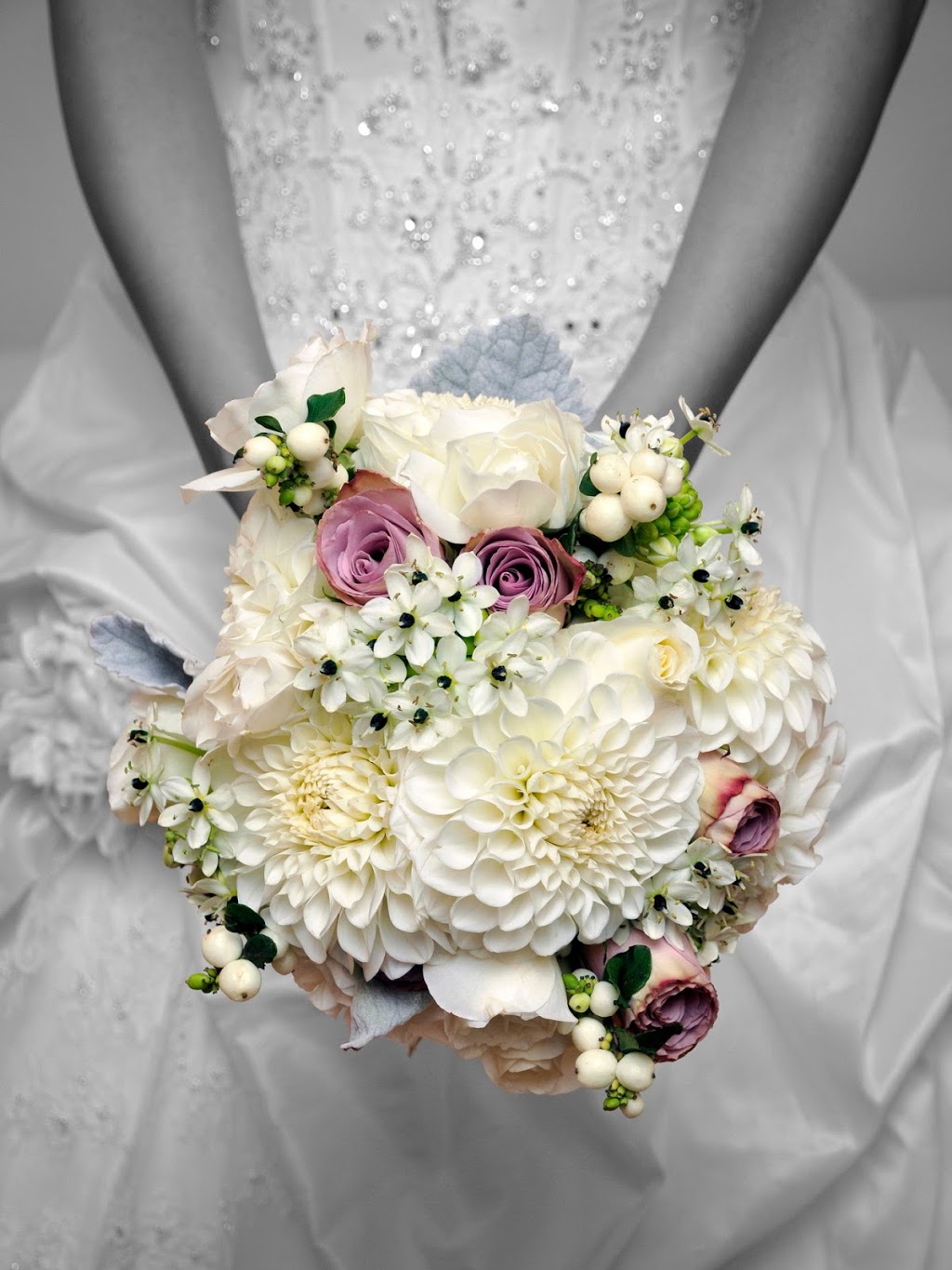 Light and Shadow Photography | 125 Lincoln Rd, Waterloo, ON N2J 2N9, Canada | Phone: (519) 880-8702