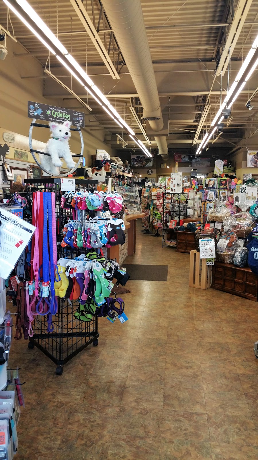 Bow Wow & Woofs | 8115 Birch Bay Square St, Blaine, WA 98230, USA | Phone: (360) 332-3647