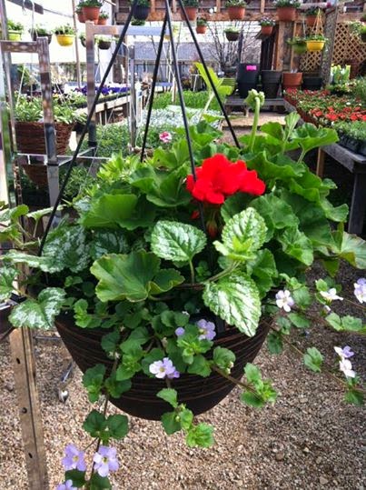 Belleisle Gardens Country Market | 931 Main St, Sussex, NB E4E 2M7, Canada | Phone: (506) 432-5811