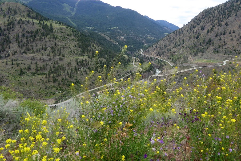 Marble Canyon Provincial Park | Pavilion, BC V0K 2H0, Canada | Phone: (250) 320-9305