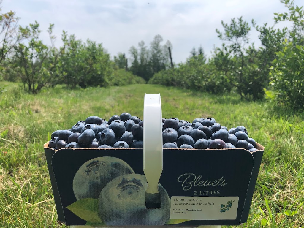 Jardins un brin de folie | 154 Chem. Beaudoin N, Durham-Sud, QC J0H 2C0, Canada | Phone: (418) 264-0143