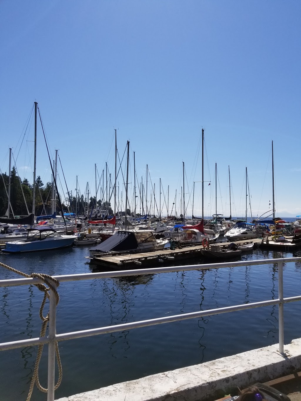 Eagle Harbour Park | 5718 Eagle Harbour Rd, West Vancouver, BC V7W 1P5, Canada