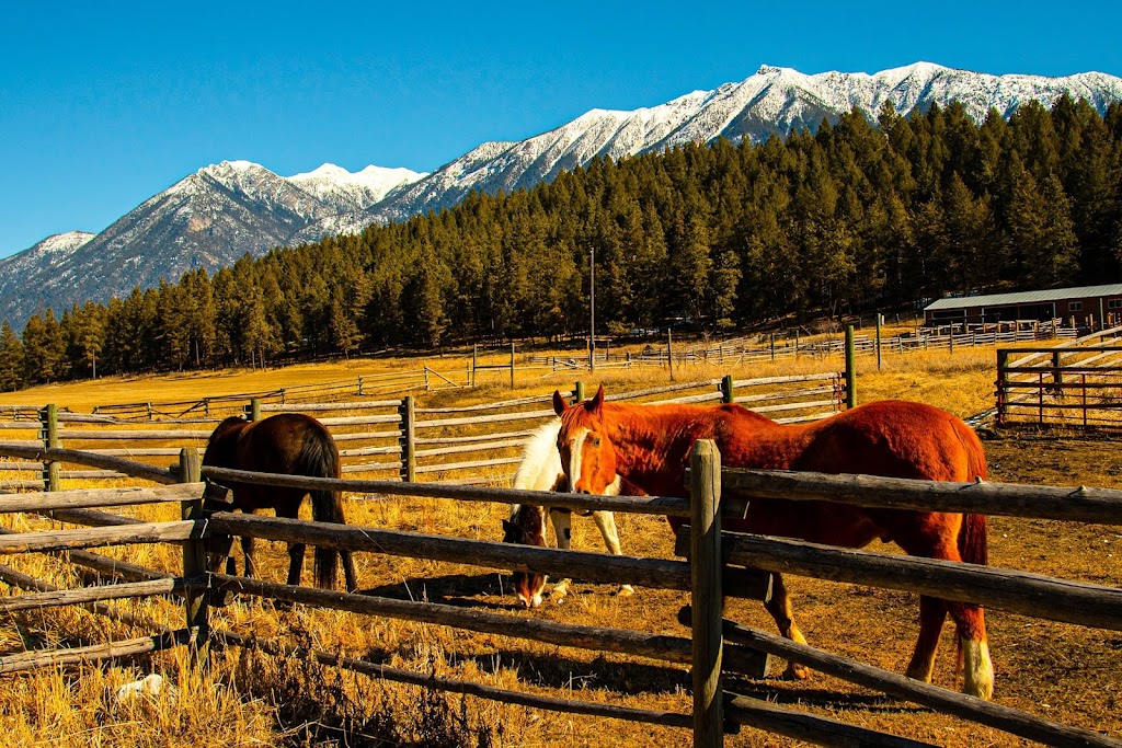 Recovery Ranch | 8350 Holmes Rd, Fort Steele, BC V0B 1N0, Canada | Phone: (866) 952-5221