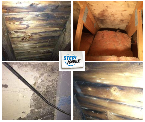 Steri Mobile | 48 Rue de St Tropez, Kirkland, QC H9J 2K6, Canada | Phone: (514) 922-6966