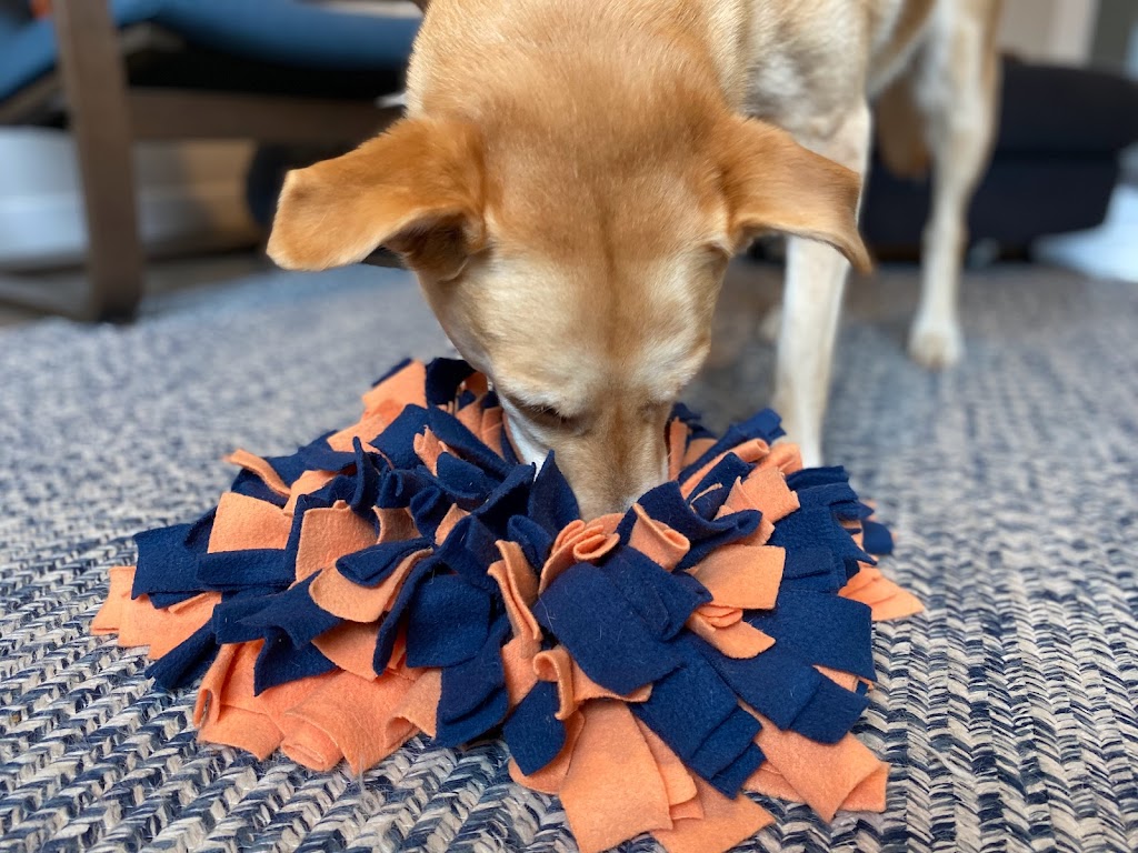 Puzzle Dog | 37 Lakewood Drive Extension, Newport, NS B0N 2A0, Canada | Phone: (902) 229-2335