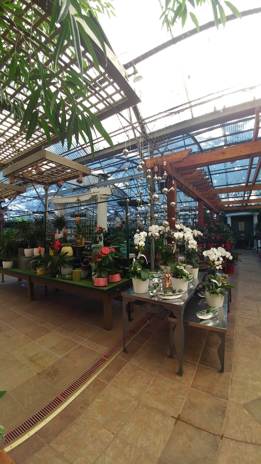 99 Nursery & Florist Inc | 9376 King George Blvd, Surrey, BC V3V 5W3, Canada | Phone: (604) 584-6555