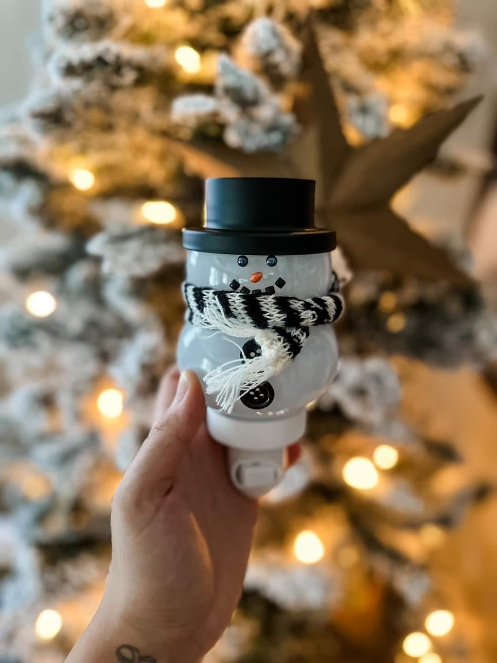 Ashley Greencorn - Independent Scentsy Consultant | 99 All Weather Hwy, Summerside, PE C1N 5L3, Canada | Phone: (902) 303-1159
