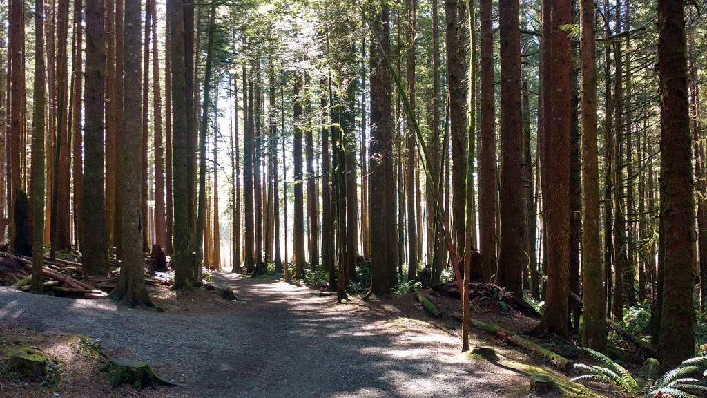 China Beach Trailhead | 47 Juan De Fuca Hwy, Port Renfrew, BC V0S, Canada