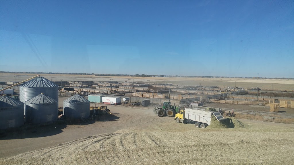 B&B FEEDERS INC | Box 332, Coaldale, AB T1M 1M4, Canada | Phone: (403) 915-5907
