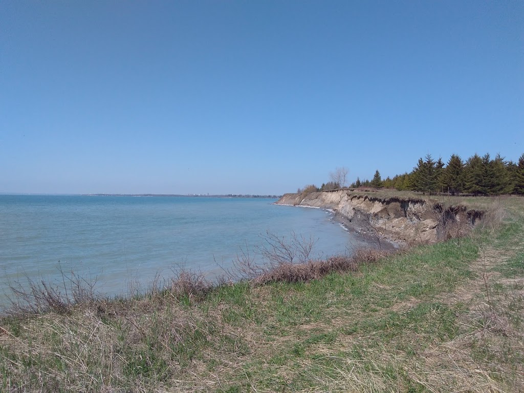 Centennial Grove | Waterfront Trail, Whitby, ON L1N 9W1, Canada