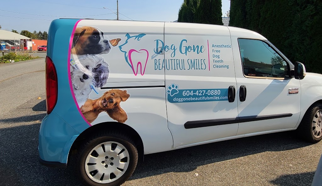 Dog gone beautiful Smiles aldergrove | 27159 Fraser Hwy, Aldergrove, BC V4W 3P7, Canada | Phone: (604) 427-0880