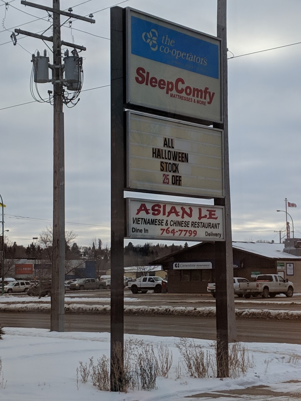 Asian Le | 1400 6 Ave E #3, Prince Albert, SK S6V 2K2, Canada | Phone: (306) 764-7799