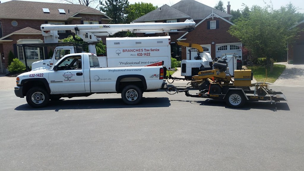 Branches Tree Service | 3165 Lambs Rd, Bowmanville, ON L1C 6J7, Canada | Phone: (905) 432-1422