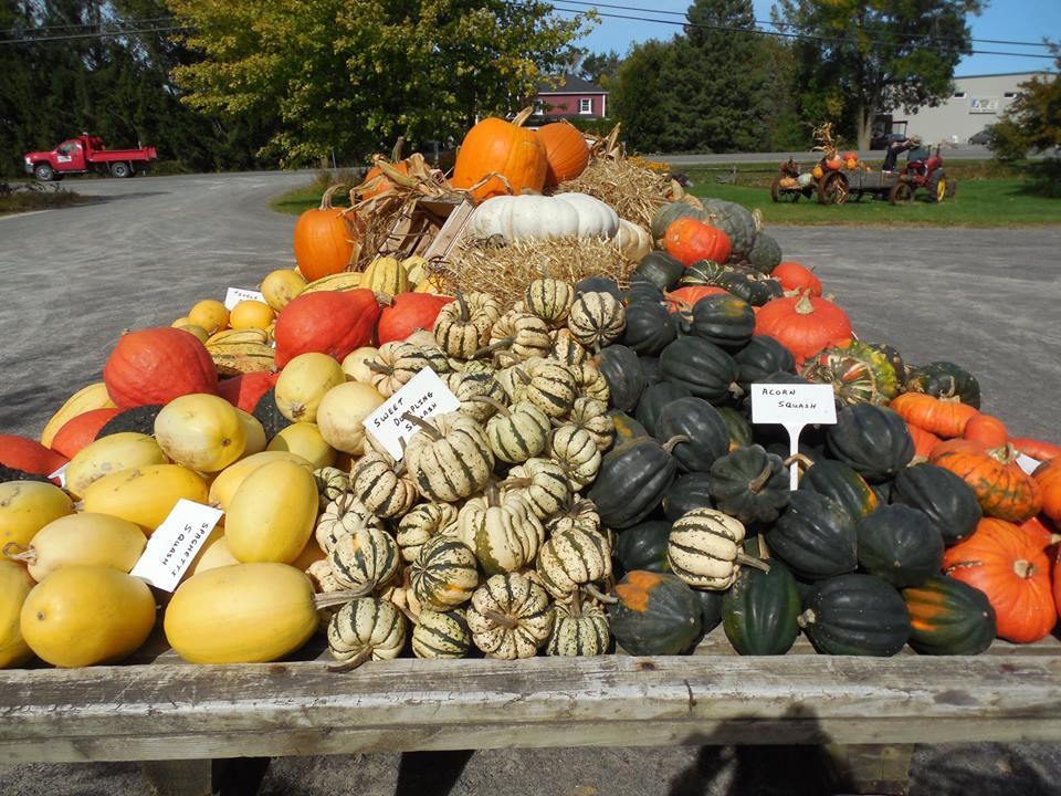 Pioneer Nursery | 632 Van Buren St, Kemptville, ON K0G 1J0, Canada | Phone: (613) 258-5555