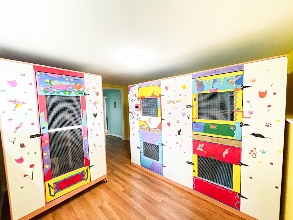 Halifax Kitty Hotel | 23 Robert Dr, Dartmouth, NS B2W 2A1, Canada | Phone: (902) 989-7297