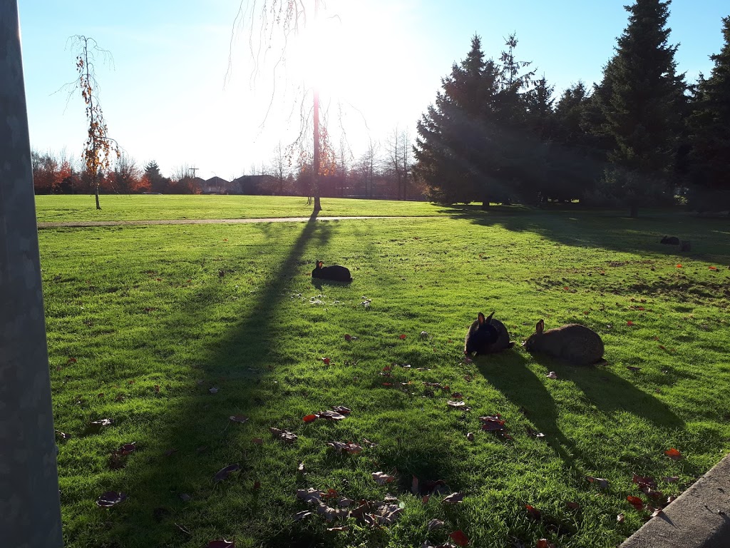 Dover Park | 5580 Lynas Ln, Richmond, BC V7C 5B2, Canada