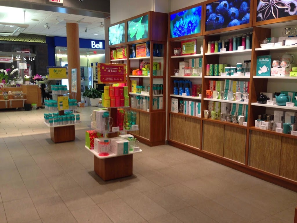DAVIDsTEA | 4567 Lougheed Hwy Unit 0410, Burnaby, BC V5C 3Z6, Canada | Phone: (604) 291-1390