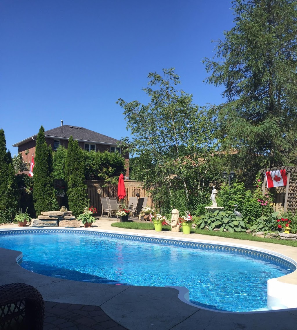 Blacks Pools | 264 St Joseph Rd, Lindsay, ON K9V 6E4, Canada | Phone: (705) 324-0904