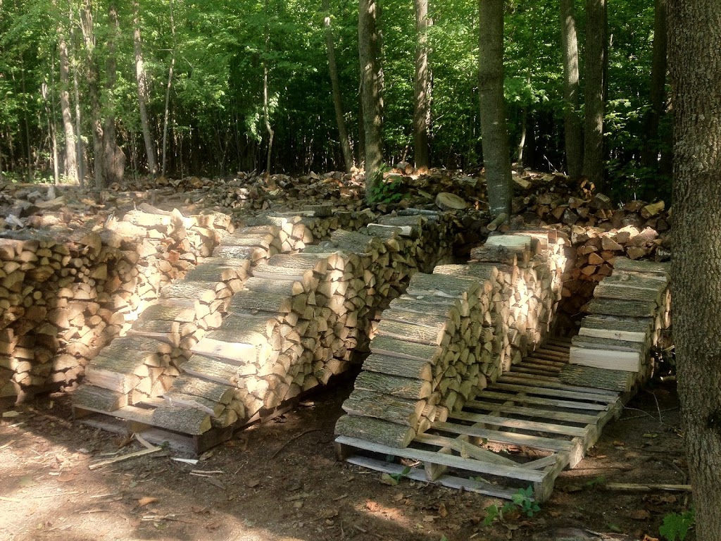 Klatts Firewood | 3237 Gordon Murdock Rd, Osgoode, ON K0A 2W0, Canada | Phone: (613) 850-3414