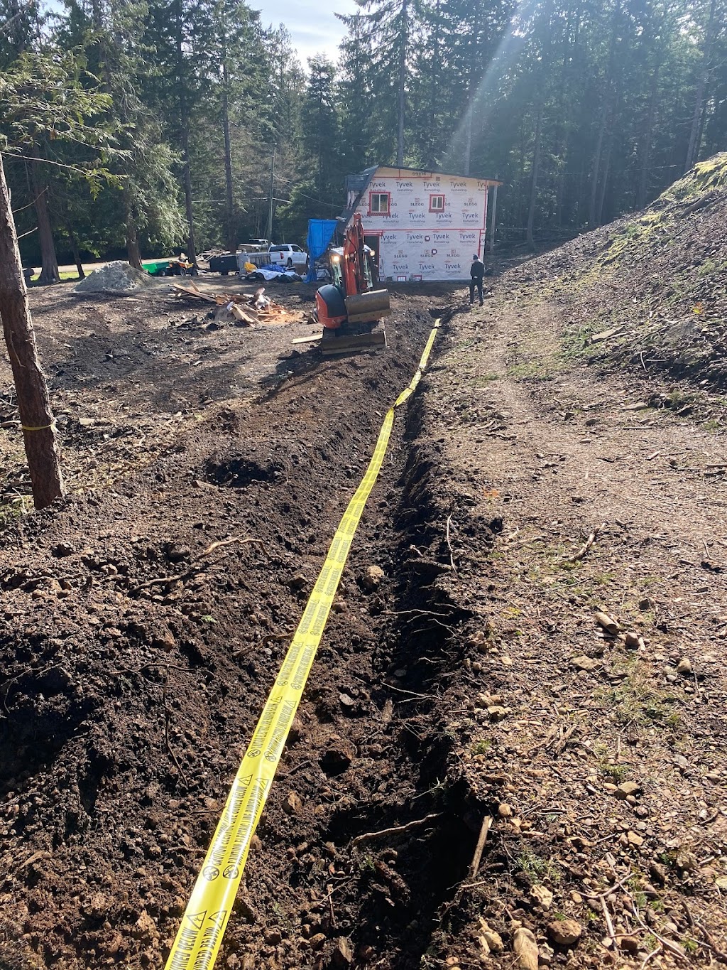 DB excavation | 3646 Denman Rd, Denman Island, BC V0R 1T0, Canada | Phone: (250) 465-1889