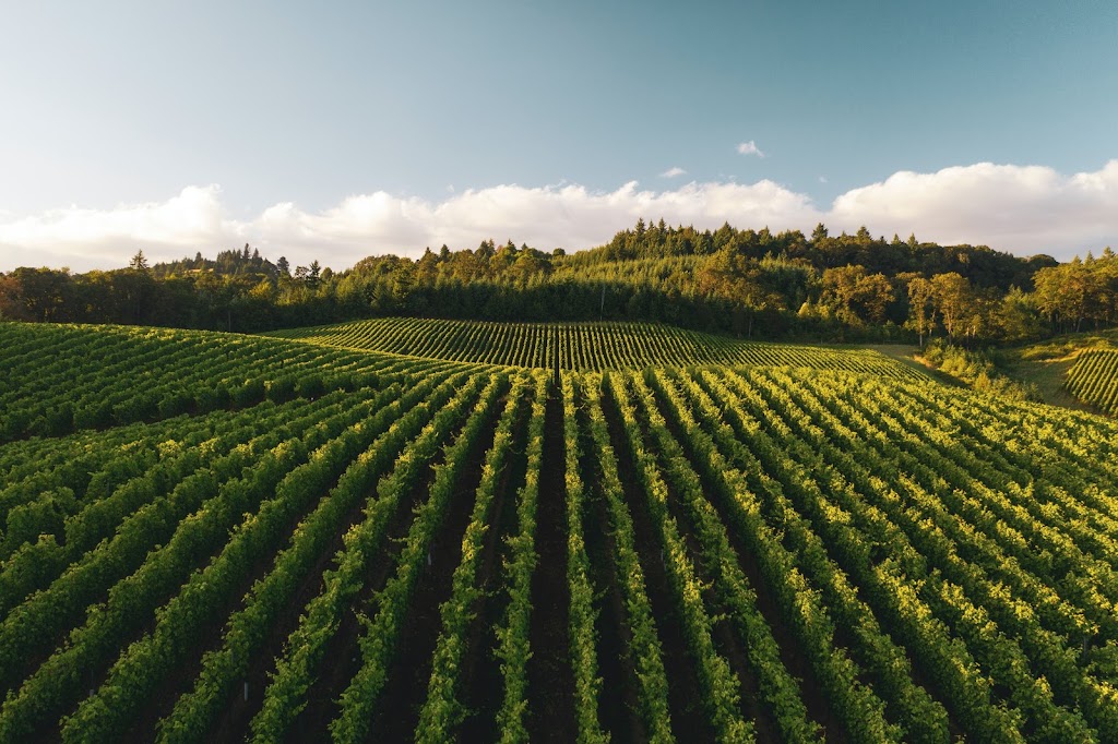 Inovawine | 139 Rue du Parc-de-lInnovation, La Pocatière, QC G0R 3G0, Canada | Phone: (888) 401-3758