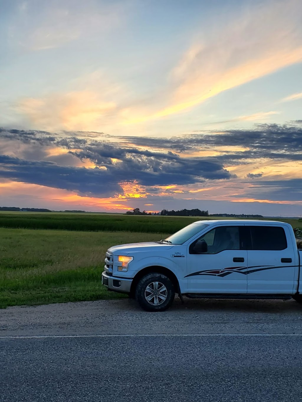 Pearl Land Improvements Ltd | 166 Willowbend St, Plum Coulee, MB R0G 1R0, Canada | Phone: (204) 362-4787